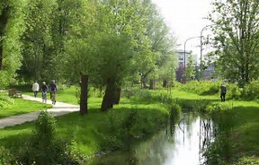 09/06 : Documents du débat du 26/04/17 « Arbres des villes et des chemins »